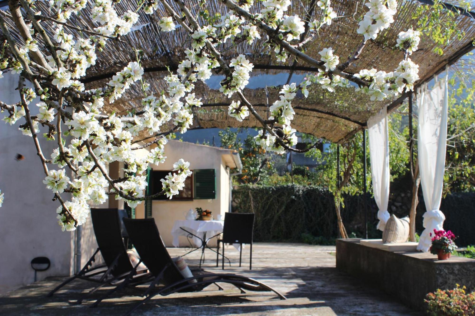 Relax Ii, Cozy And Rural Ferienhaus *